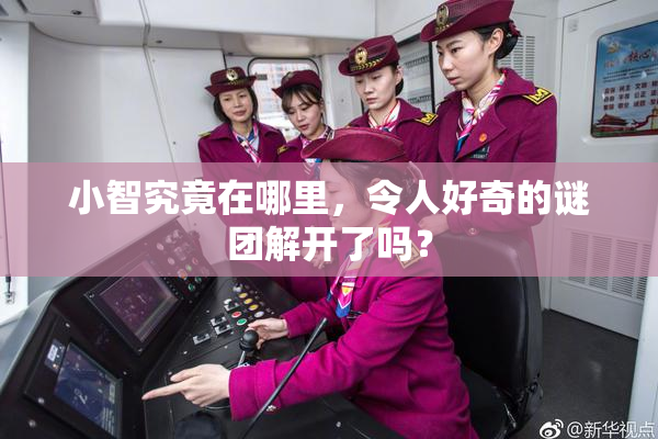 小智究竟在哪里，令人好奇的谜团解开了吗？