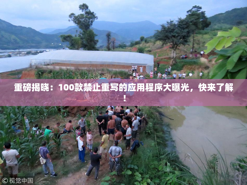 重磅揭晓：100款禁止重写的应用程序大曝光，快来了解！