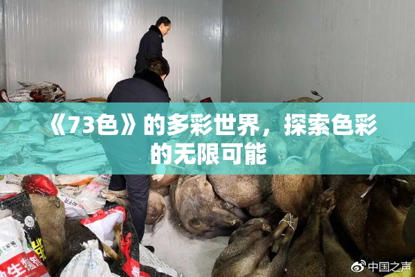 《73色》的多彩世界，探索色彩的无限可能