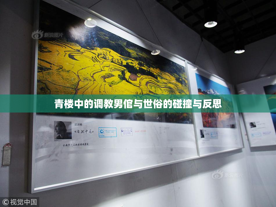青楼中的调教男倌与世俗的碰撞与反思