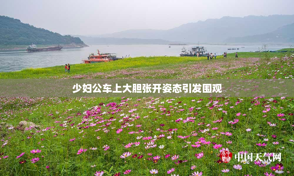 少妇公车上大胆张开姿态引发围观