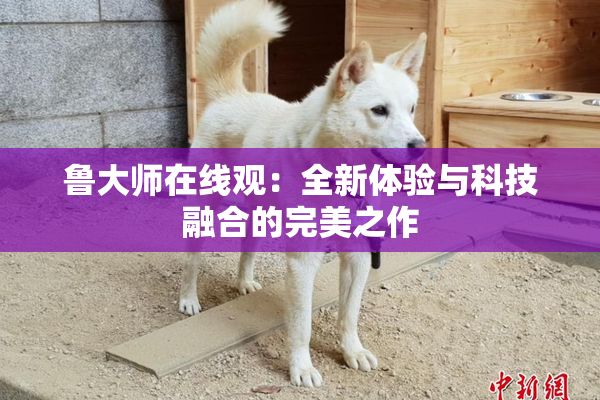 鲁大师在线观：全新体验与科技融合的完美之作