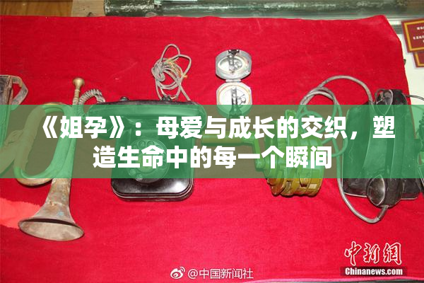 《姐孕》：母爱与成长的交织，塑造生命中的每一个瞬间