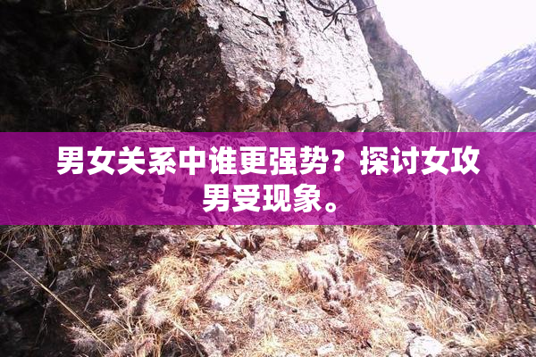 男女关系中谁更强势？探讨女攻男受现象。