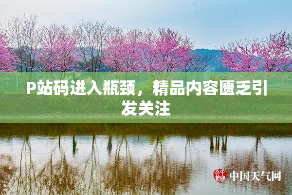 P站码进入瓶颈，精品内容匮乏引发关注