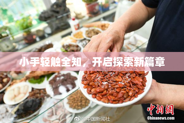 小手轻触全知，开启探索新篇章
