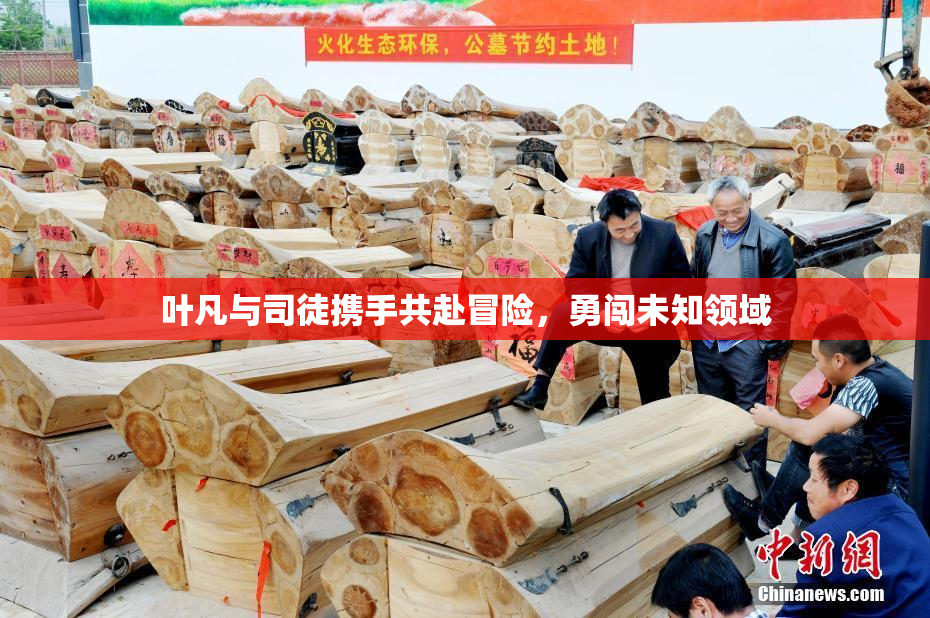 叶凡与司徒携手共赴冒险，勇闯未知领域