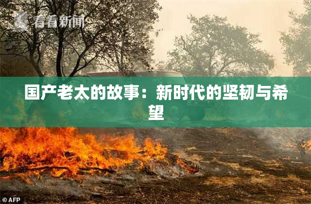 国产老太的故事：新时代的坚韧与希望