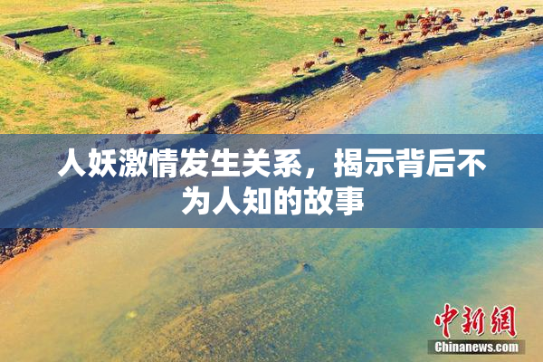 人妖激情发生关系，揭示背后不为人知的故事