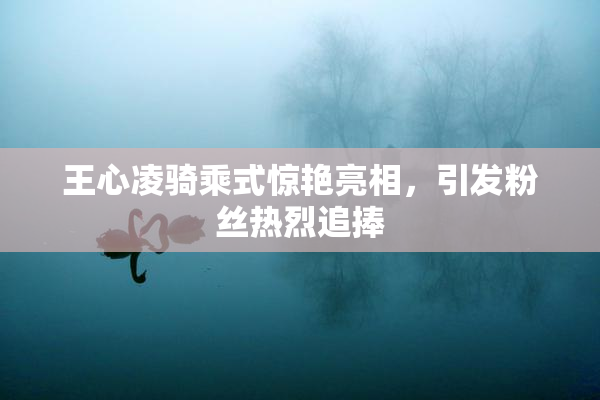 王心凌骑乘式惊艳亮相，引发粉丝热烈追捧