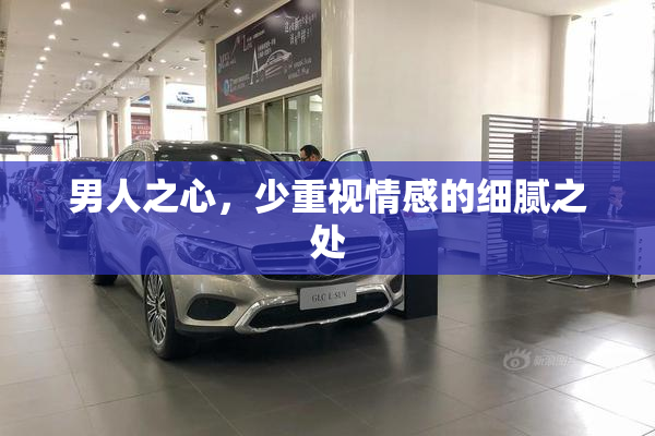 男人之心，少重视情感的细腻之处
