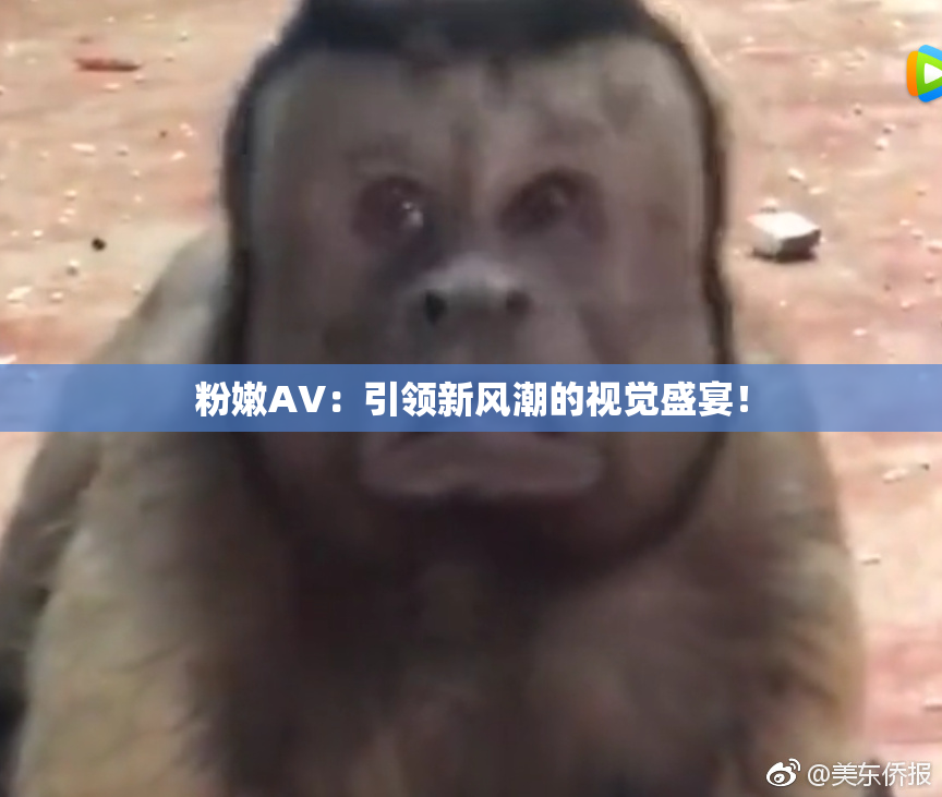 粉嫩AV：引领新风潮的视觉盛宴！