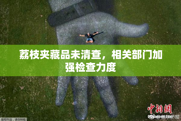 荔枝夹藏品未清查，相关部门加强检查力度