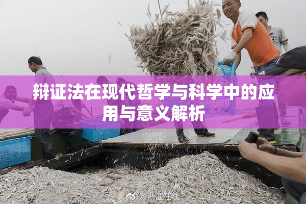 辩证法在现代哲学与科学中的应用与意义解析