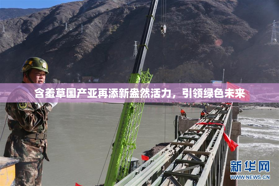 含羞草国产亚再添新盎然活力，引领绿色未来
