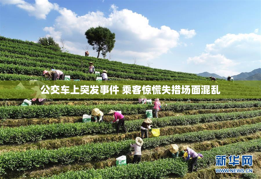 公交车上突发事件 乘客惊慌失措场面混乱