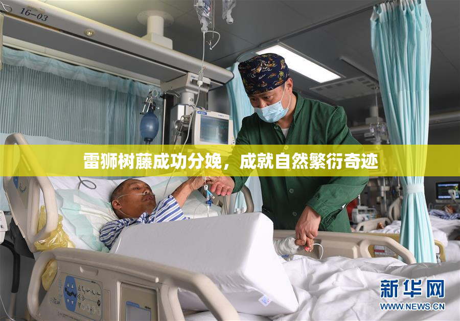 雷狮树藤成功分娩，成就自然繁衍奇迹