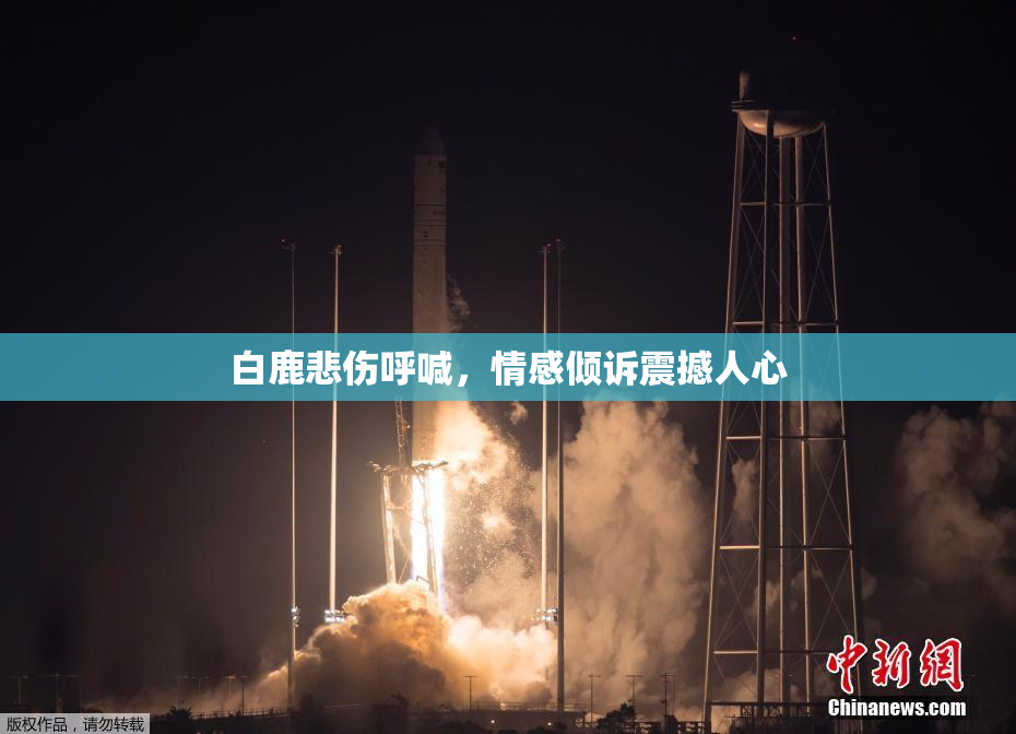 白鹿悲伤呼喊，情感倾诉震撼人心