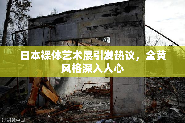 日本裸体艺术展引发热议，全黄风格深入人心