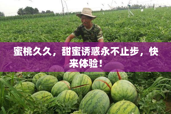 蜜桃久久，甜蜜诱惑永不止步，快来体验！
