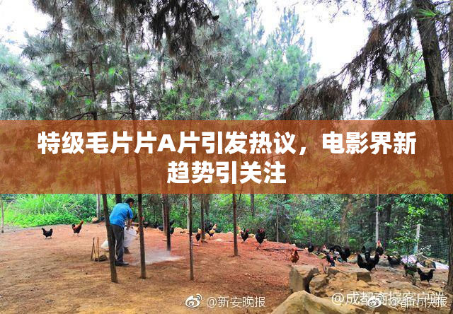 特级毛片片A片引发热议，电影界新趋势引关注