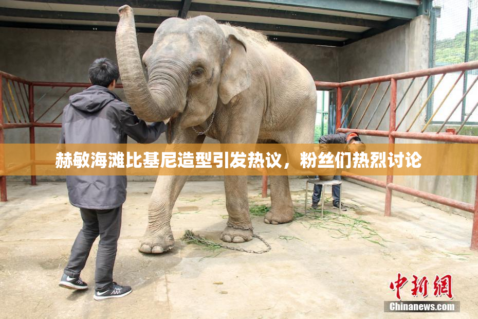 赫敏海滩比基尼造型引发热议，粉丝们热烈讨论