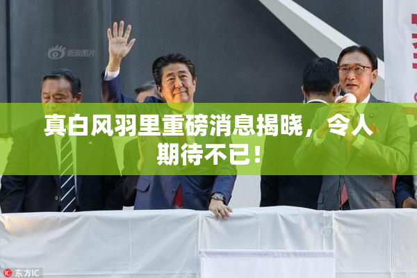 真白风羽里重磅消息揭晓，令人期待不已！