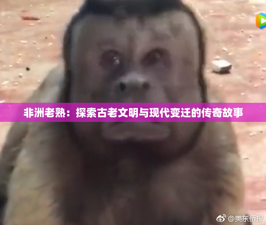非洲老熟：探索古老文明与现代变迁的传奇故事