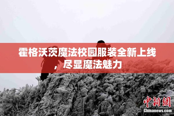 霍格沃茨魔法校园服装全新上线，尽显魔法魅力