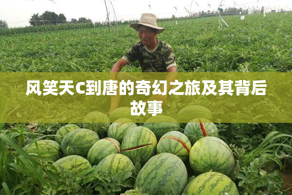 风笑天C到唐的奇幻之旅及其背后故事