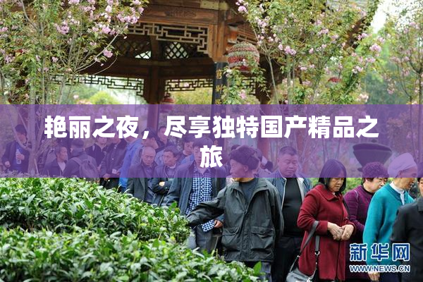 艳丽之夜，尽享独特国产精品之旅
