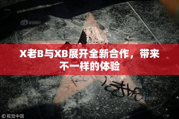X老B与XB展开全新合作，带来不一样的体验