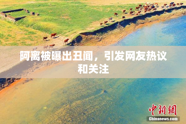 阿离被曝出丑闻，引发网友热议和关注