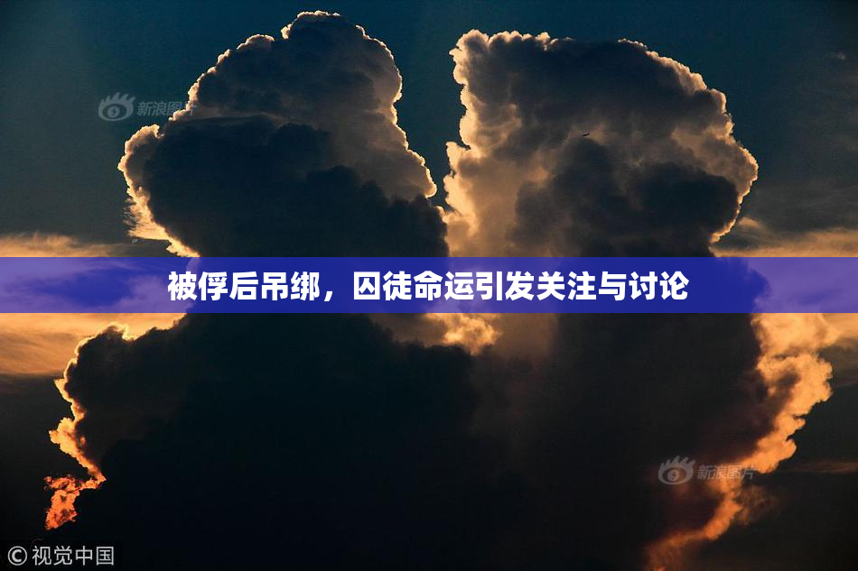 被俘后吊绑，囚徒命运引发关注与讨论