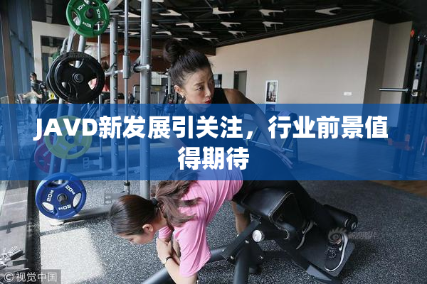 JAVD新发展引关注，行业前景值得期待