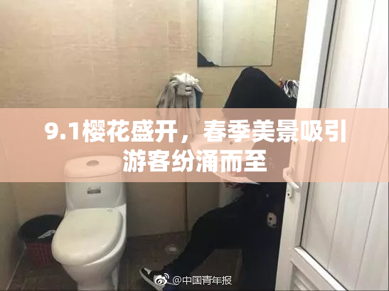 9.1樱花盛开，春季美景吸引游客纷涌而至
