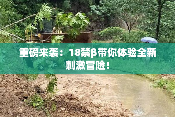 重磅来袭：18禁β带你体验全新刺激冒险！