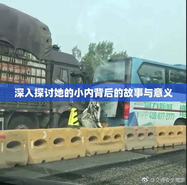 深入探讨她的小内背后的故事与意义
