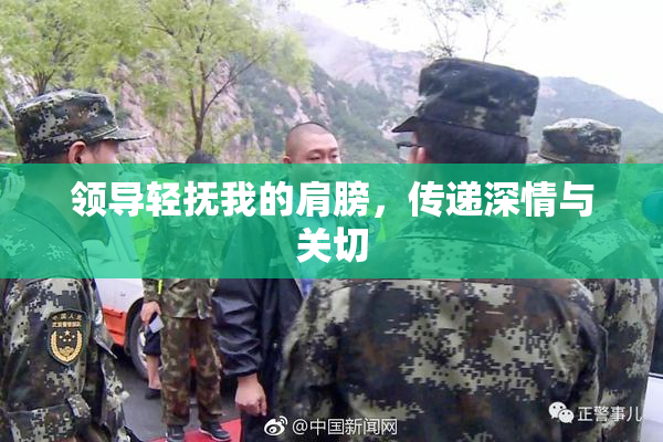 领导轻抚我的肩膀，传递深情与关切
