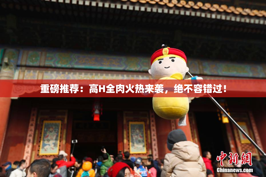 重磅推荐：高H全肉火热来袭，绝不容错过！