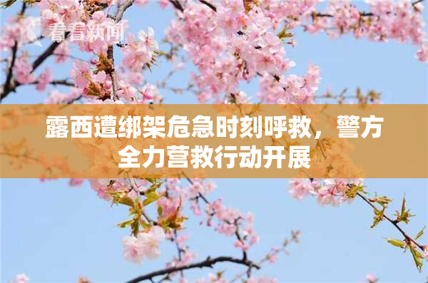 露西遭绑架危急时刻呼救，警方全力营救行动开展