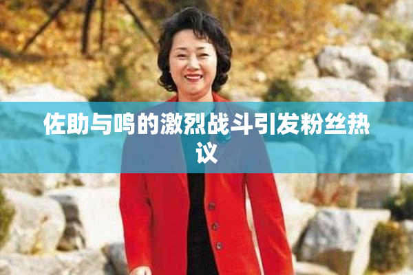 佐助与鸣的激烈战斗引发粉丝热议