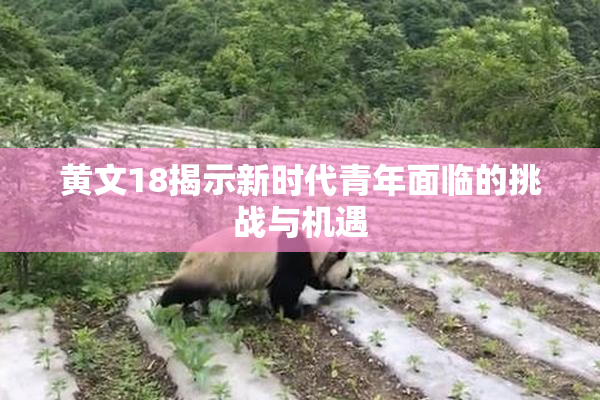 黄文18揭示新时代青年面临的挑战与机遇