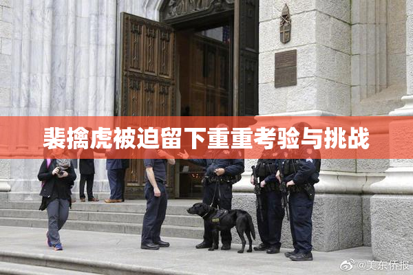 裴擒虎被迫留下重重考验与挑战