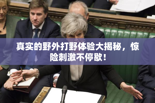 真实的野外打野体验大揭秘，惊险刺激不停歇！