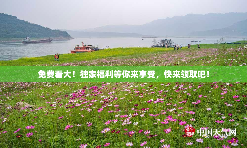 免费看大！独家福利等你来享受，快来领取吧！
