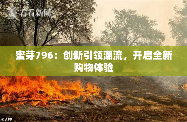 蜜芽796：创新引领潮流，开启全新购物体验