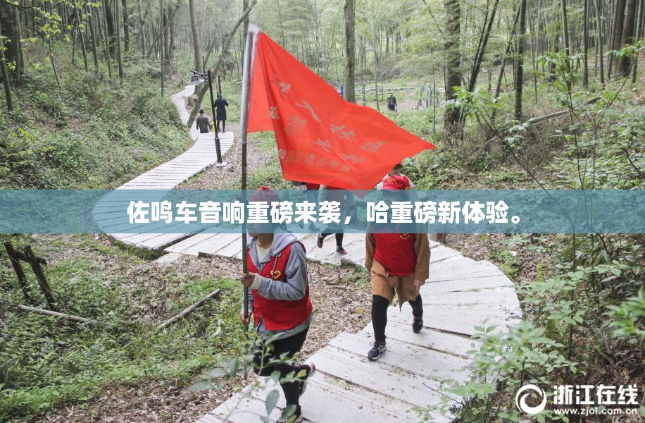 佐鸣车音响重磅来袭，哈重磅新体验。