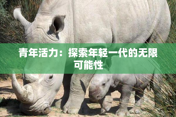 青年活力：探索年轻一代的无限可能性