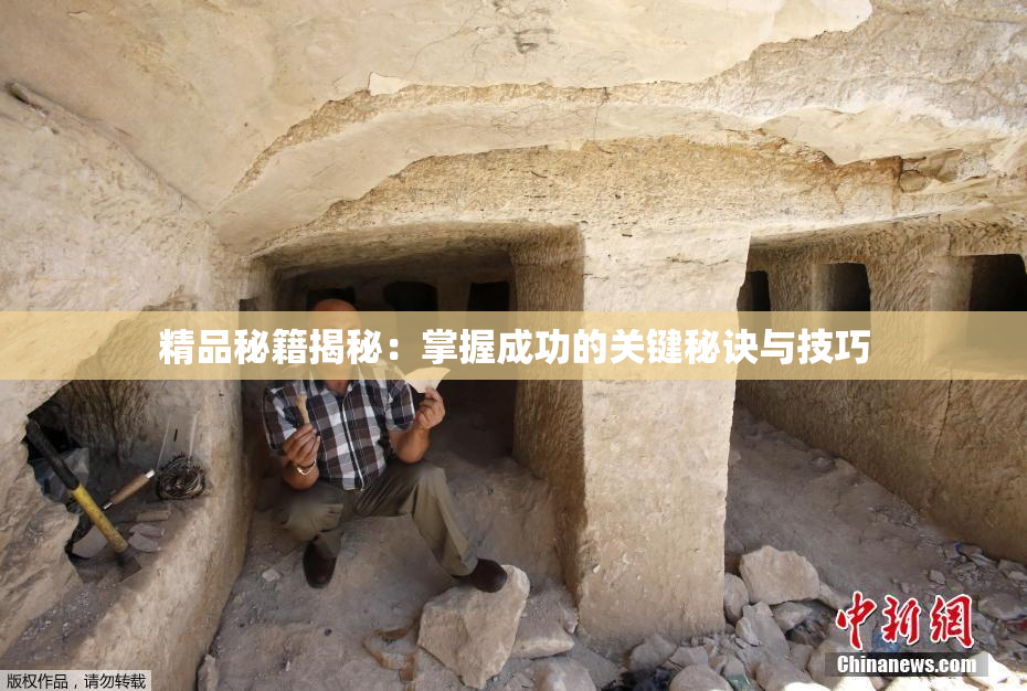 精品秘籍揭秘：掌握成功的关键秘诀与技巧